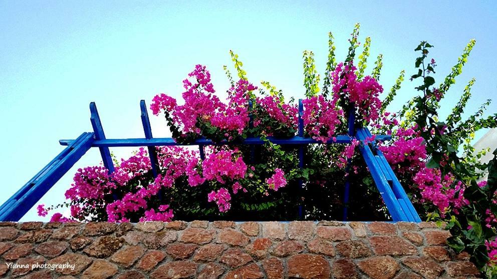 Bougainvillea Suites Kamari  Luaran gambar