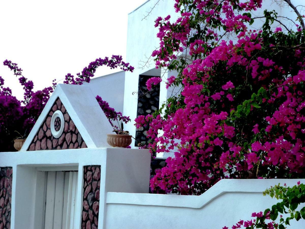 Bougainvillea Suites Kamari  Luaran gambar