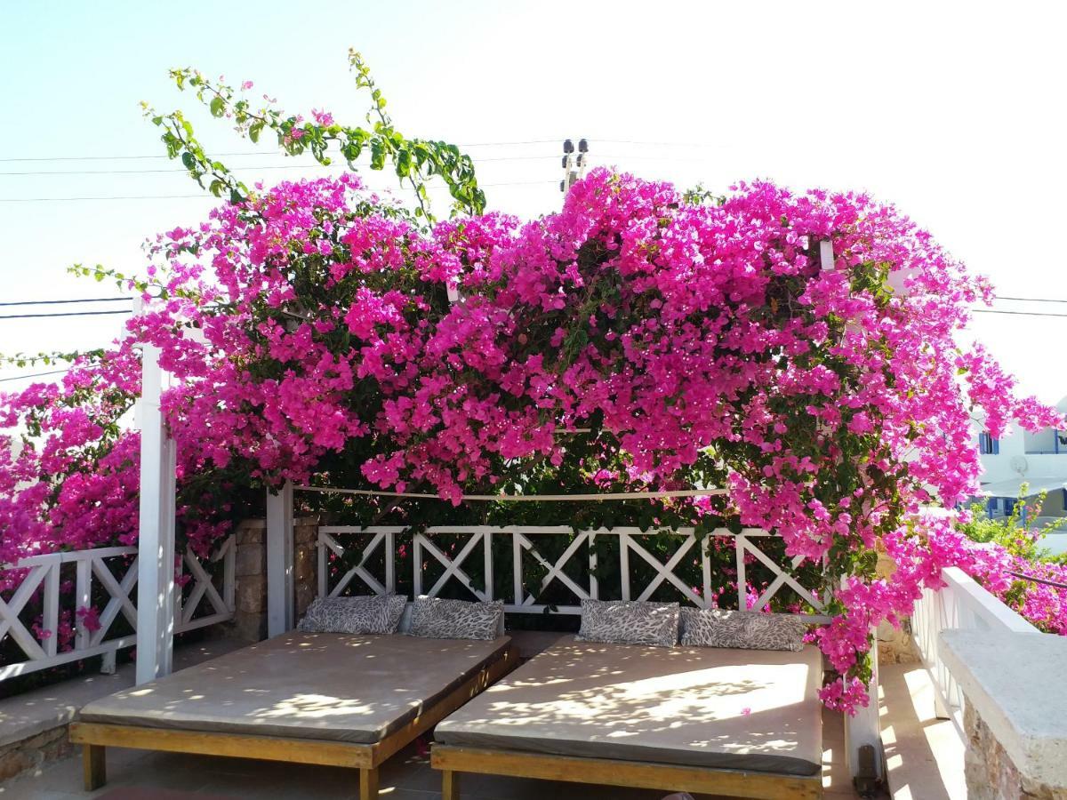 Bougainvillea Suites Kamari  Luaran gambar